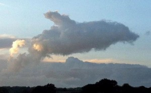 这张海豚状的云彩照片正从埃塞克斯郡M11公路的上空飘过。
