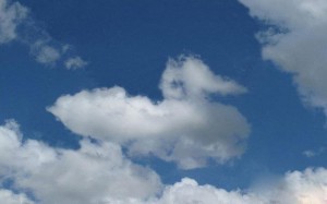 这是在天上漂浮的一只云鸭子，在哇哇叫呢！