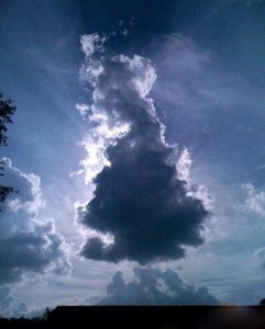 这是来自哥伦比亚大学的Dawn Melville在佛罗里达州基西米市拍摄到的云彩，形状类似于英国领土。