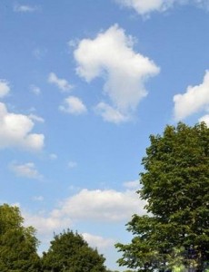 这是在布洛威公园上空出现的一片酷似非洲形状的云彩。